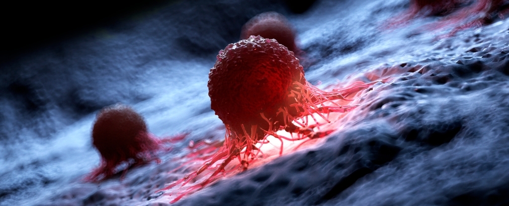 يستخدم العلماء الجزيئات المهتزة لقتل 99% من الخلايا السرطانية في المختبر: ScienceAlert