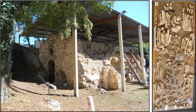 Two images showing a medieval stone structure, protected under metal roofing, and a collection of bones unearthed there.