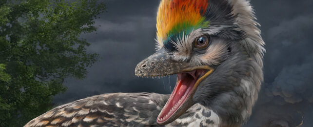 close up of feathered dinosaur painting