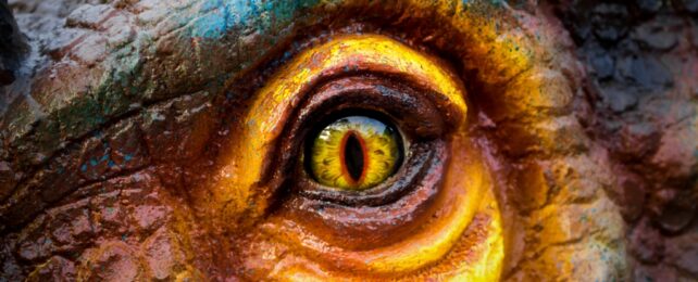 Colorful Dinosaur Eye