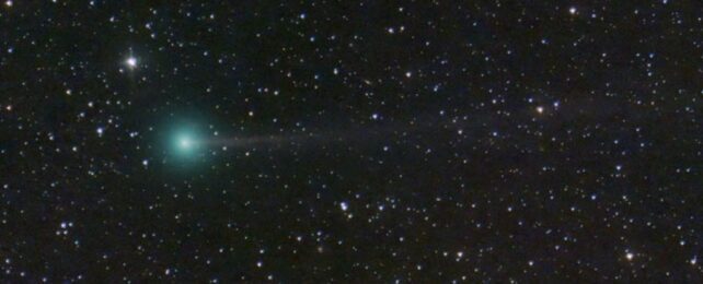 Comet Seen In Space