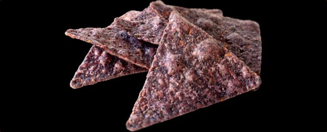 Dark Tortilla Chips