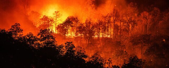 Earth Deep in Danger Zone Beyond Safe Planetary Boundaries, Study Warns