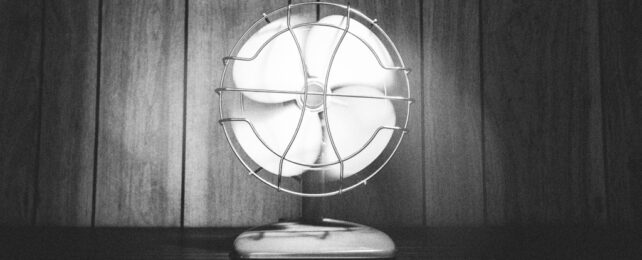 Electric Desk Fan In Black And White