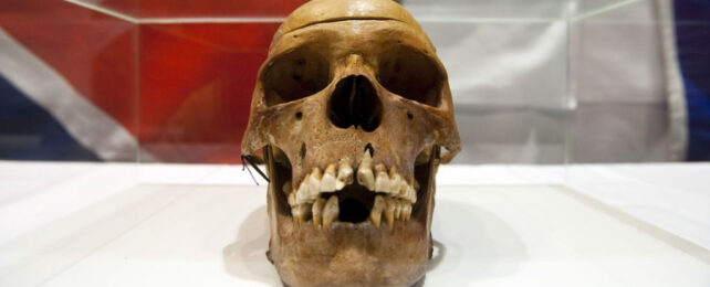 Close up of skull