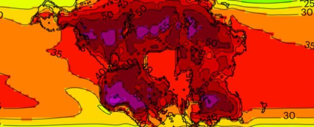 The Next Supercontinent Formation Could Wipe Out Most Mammal Life