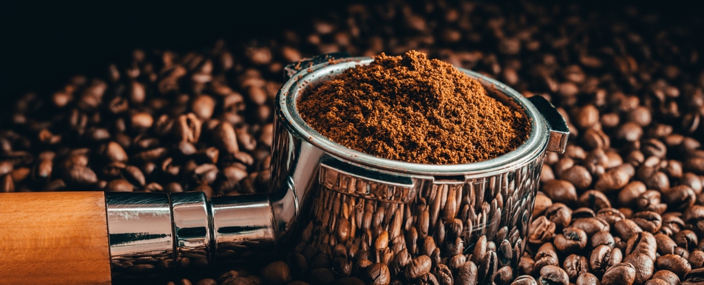 Scientists Discover An Amazing Practical Use For Leftover Coffee Grounds : ScienceAlert