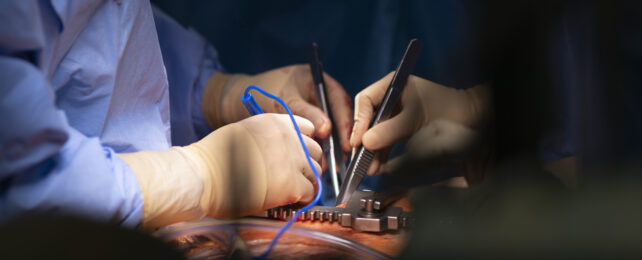 US Man Becomes Second Person in History to Receive a Pig-to-Human Heart Transplant