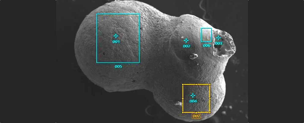 وجدت الدراسة أن المواد الموجودة في المحيط ليست من هذا النظام الشمسي: ScienceAlert