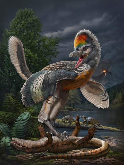 Painting of a feathered dinosaur with a colorful crest and turtles in the background