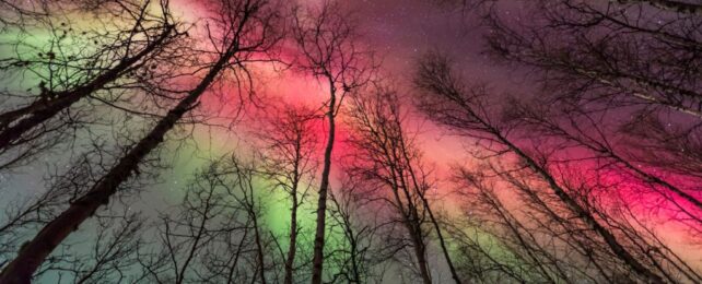 'Holy Grail' of Northern Lights Just Turned The Sky Blood Red As Far South As France