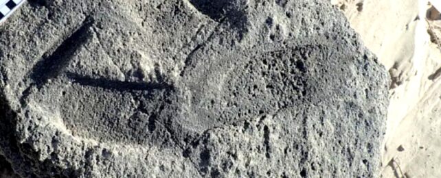 Shod Footprint In Rock