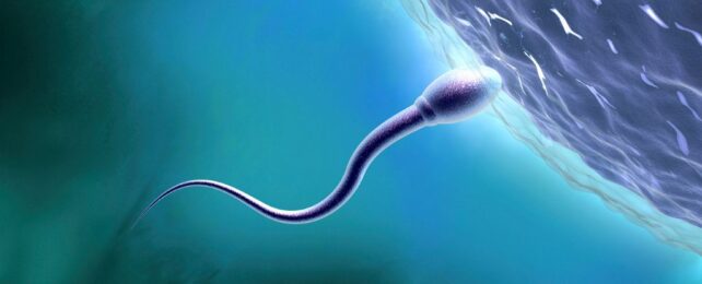 Amazing Discovery Reveals Why You Didn't Get Your Dad's Mitochondria