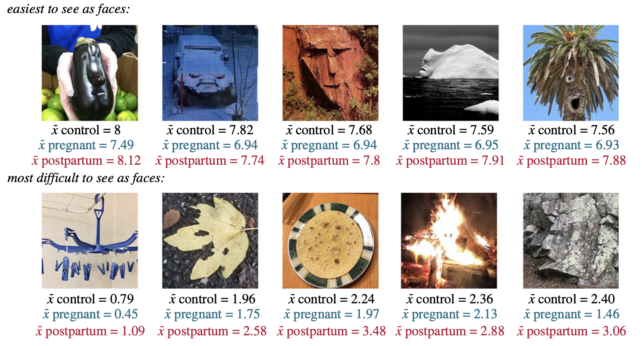 Taubert Face Pareidolia