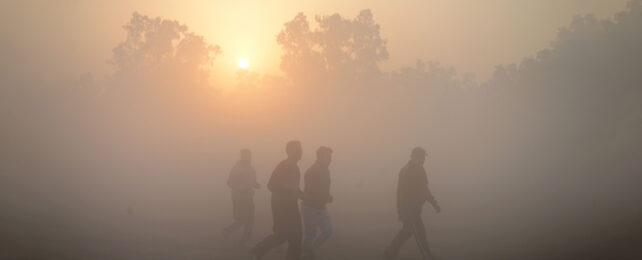 Dimmed out sun rising behind hazy trees with silhouetted people walking in the foreground
