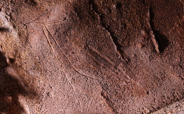 Paleolithic engraving of a red deer at Cova Dones, Spain