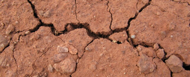 dry, cracked soil