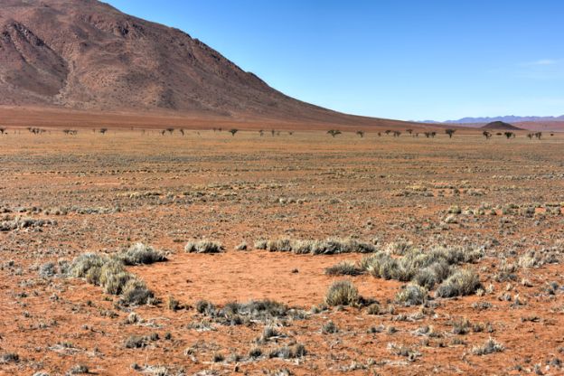 Atlas of Mysterious Fairy Circles Shows They're More Widespread