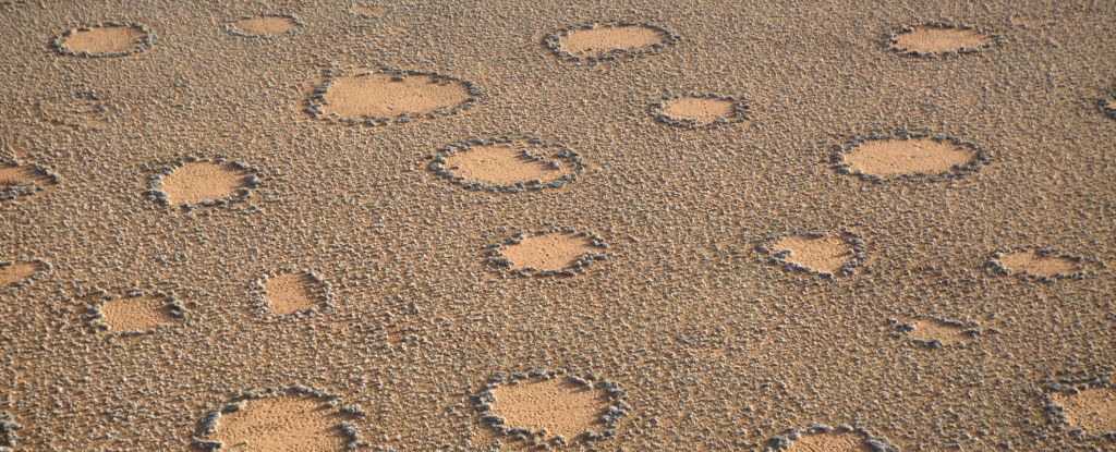 Satellites Show Mysterious Fairy Circles in More Parts of the World - The  New York Times