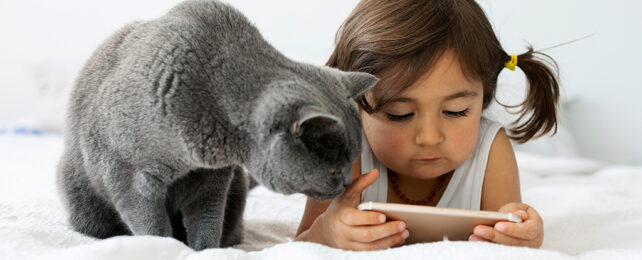 cat and girl looking at a smart phone