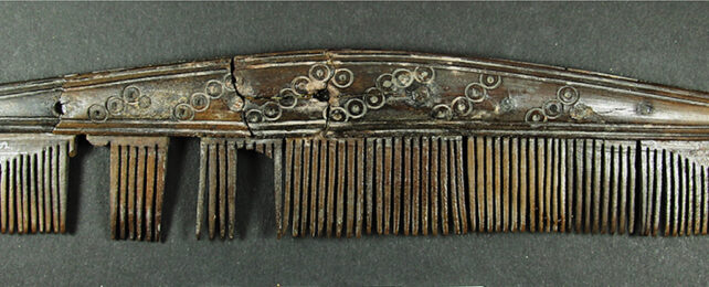 Viking hair comb made from reindeer antler