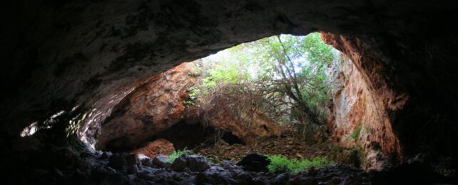 Neolithic Humans Used The Bones of The Dead For an Unorthodox Purpose
