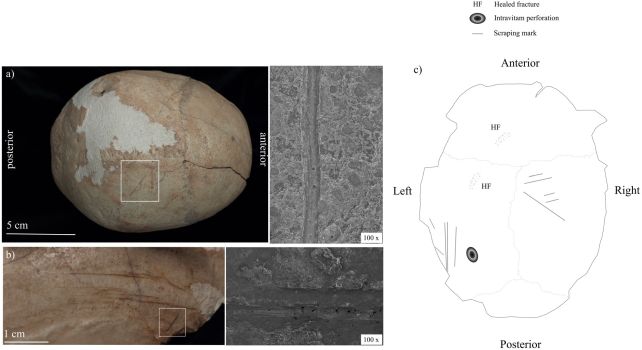 skull-marks.jpg