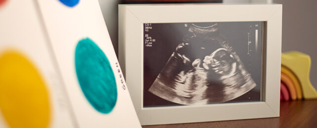Study Shows Why We Need to Look Closer at The Placenta Following Pregnancy Loss