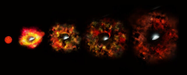 Diagram of a failed supernova becoming a black hole