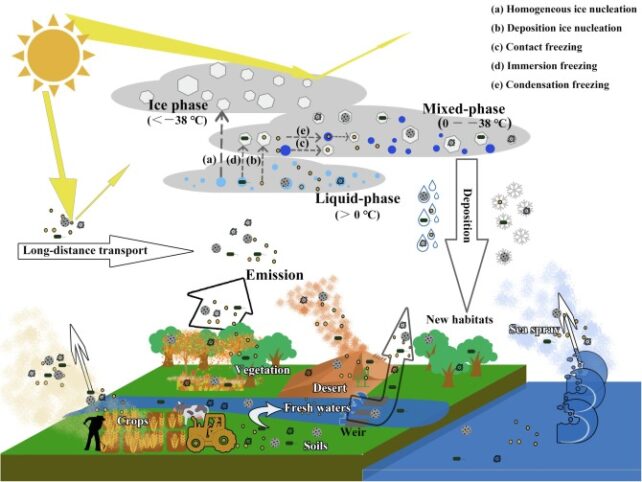 Diagram of cloud formation and different seed particle sources