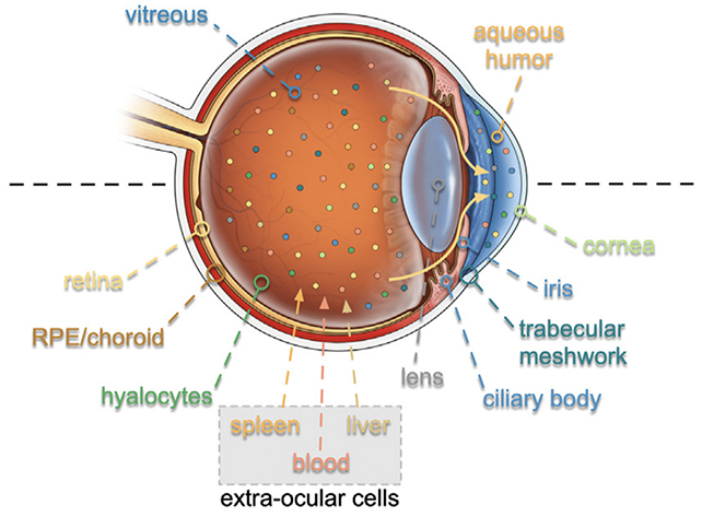 Eye diagram