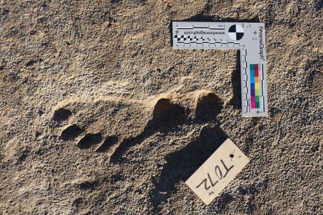 A close up of a human footprint in sand