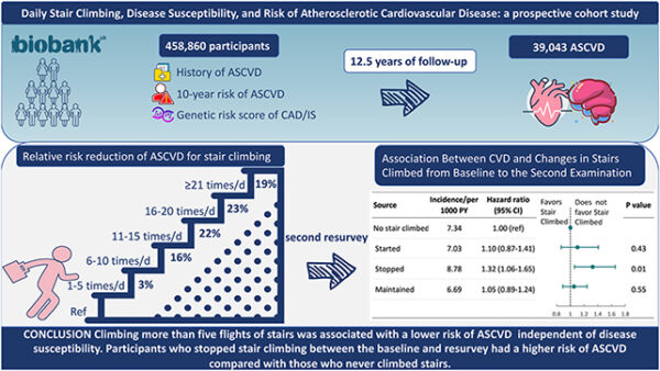 Want To Cut Heart Disease Risk Here S How Many Flights Of Stairs To Want To Cut Heart Disease Risk Here S How Many Flights Of Stairs To