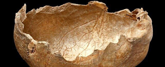 'People Were Eating Them': Long Ago Cannibalism Was Normal, Study Says