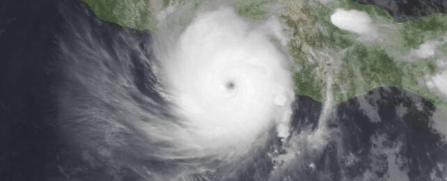 Hurricane Otis satellite image