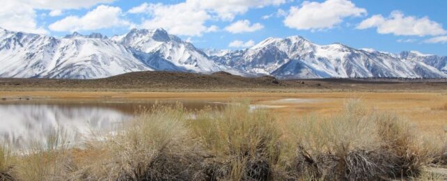 Giant Supervolcano in California Is Sleepy, But Scientists Say It's Restless