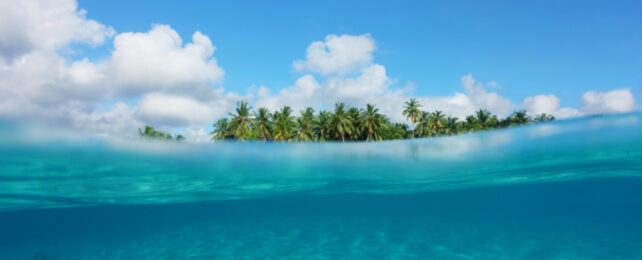 Tropical island with palm trees photographed from the water, with blue sky and clouds behind.