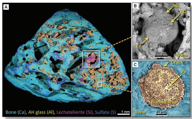 Tiny pieces of bone (blue) splashed by meltglass (tan)