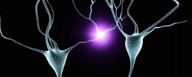 Illustration of electrical activity between neurons
