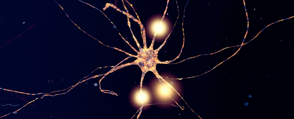 A computer generated image showing active neuron cells in glowing yellow on a dark background