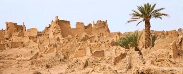 This Ancient Society Survived The Sahara Desert With a Single Water Source