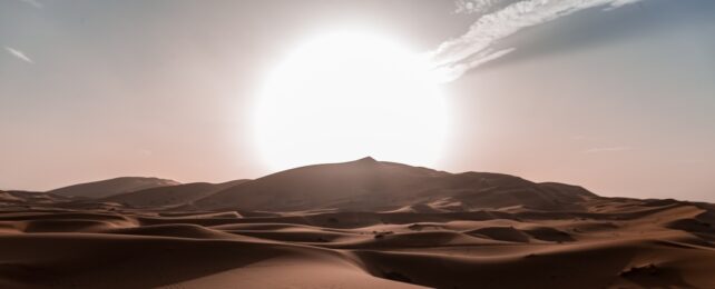 Sun Rises Over Desert