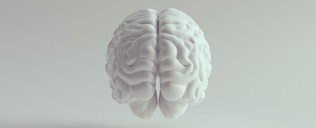 White brain