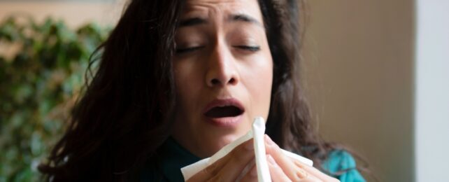 Woman About To Sneeze