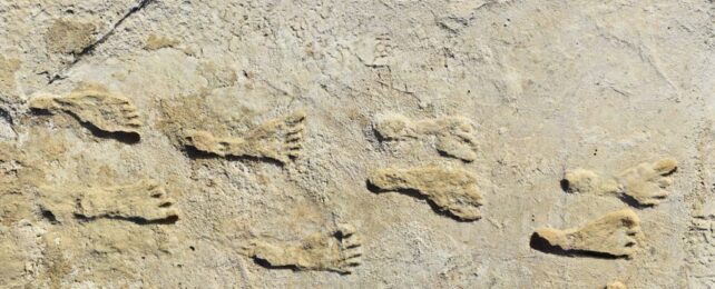 Confirmed: The Oldest Human Footprints in North America Are at Least 21,500 Years Old