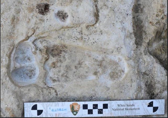 Las huellas humanas más antiguas en América del Norte se remontan a al menos 21.500 años: ScienceAlert