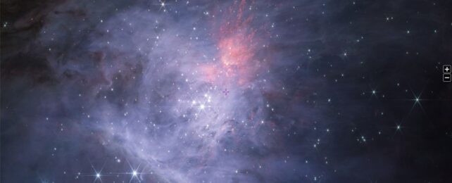 JWST Discovers Starless, Planet-Like Objects Mysteriously Lurking in Orion