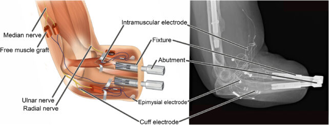 Scirobotics