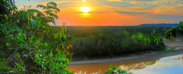 sun setting over amazin rainforest