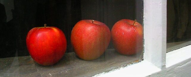 three apples in a window